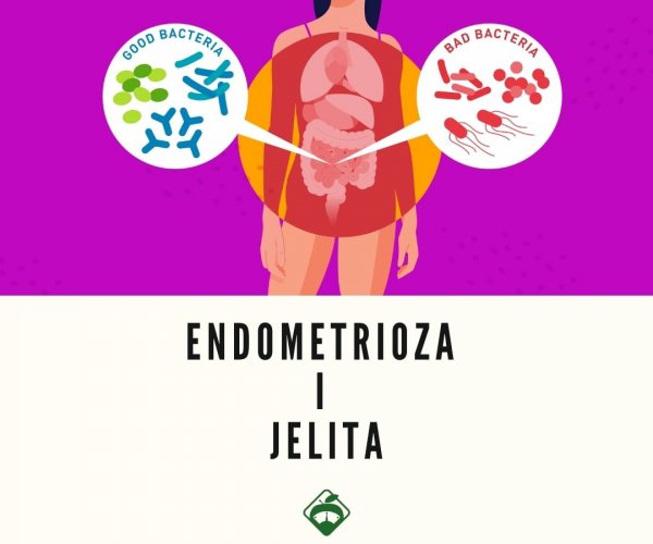 Endometrioza a probiotyki, synbiotyki i prebiotyki